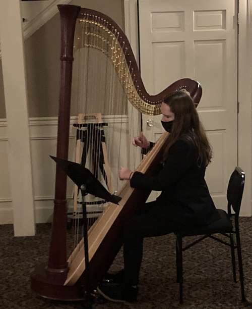 harpist